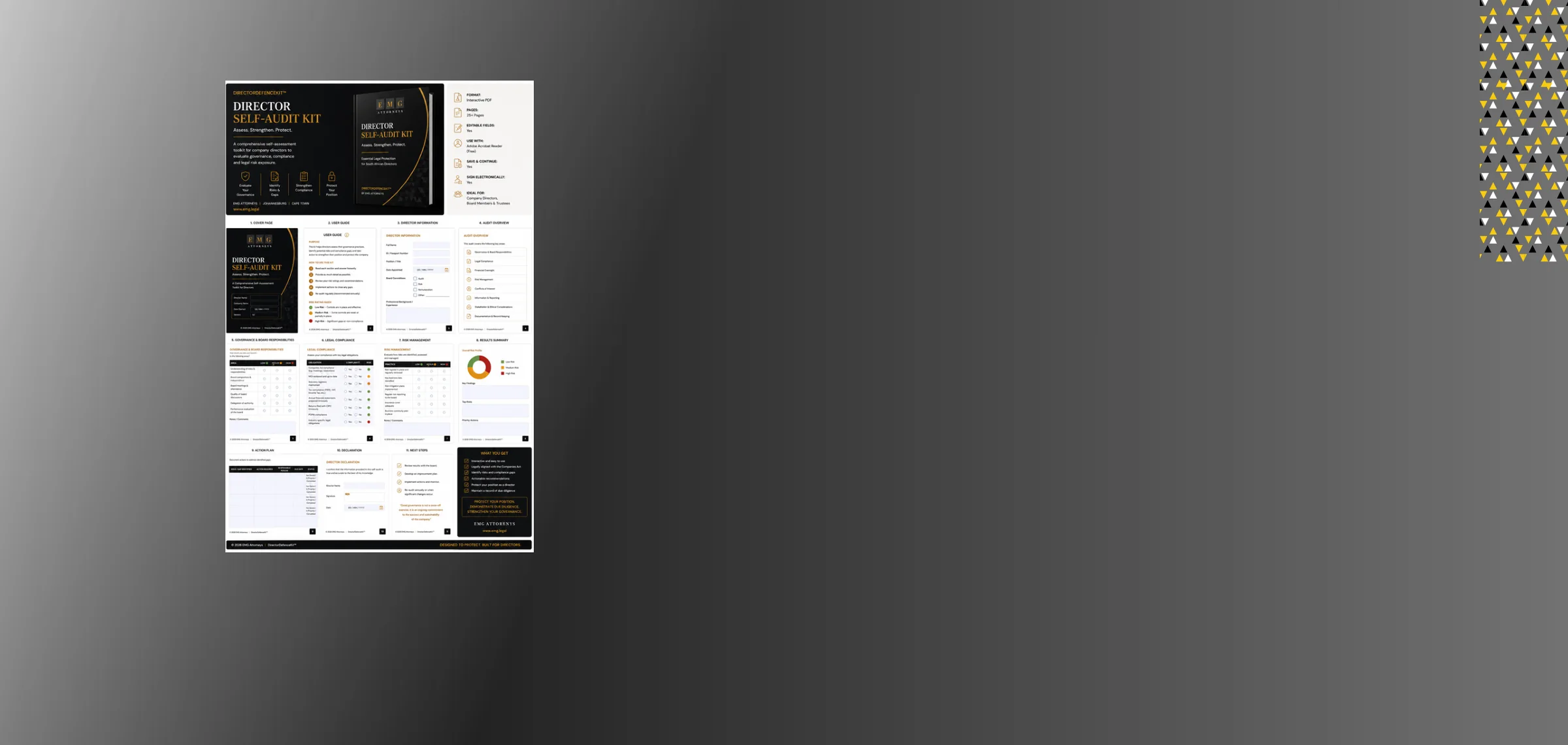 Preview pages of the Director Self-Audit Kit